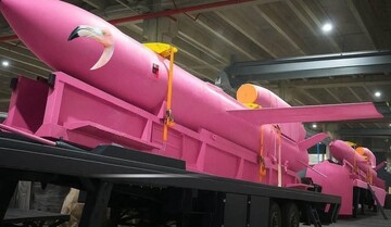 Нардеп пояснив, чи стане "Фламінго" українським аналогом Tomahawk для ударів вглиб РФ