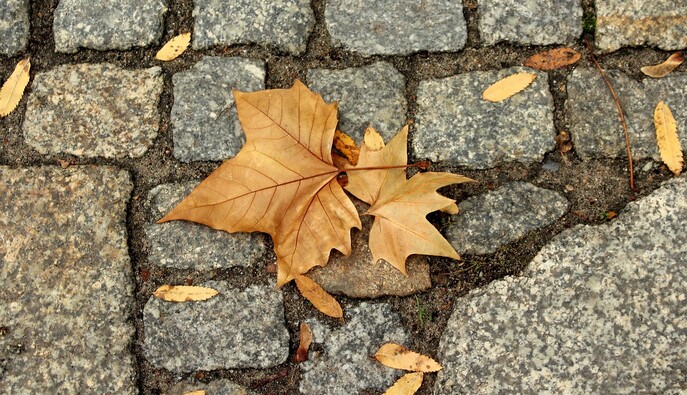 Тепло і подекуди дощі: синоптик дав свіжий прогноз на вихідні