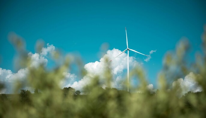 Активисты предлагают восстановить Минокружение как отдельный институт