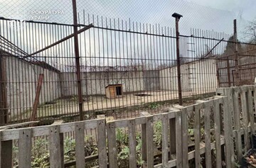 В Хмельницком из реабилитационного центра сбежали два льва: что известно