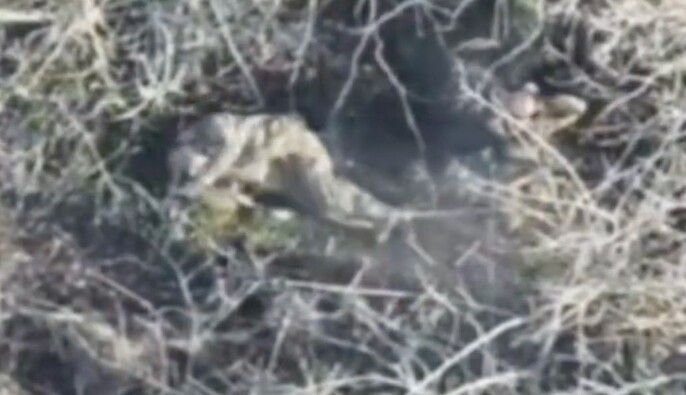 Россияне, вероятно, расстреляли двух украинских военных в Запорожье — Лубинец