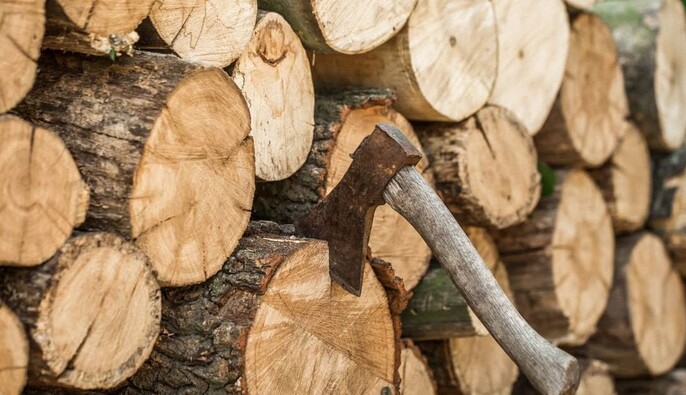 В Україні ціни на дрова зросли більш ніж на 20%: експерт пояснив, що вплинуло на ринок