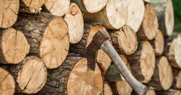 В Україні ціни на дрова зросли більш ніж на 20%: експерт пояснив, що вплинуло на ринок