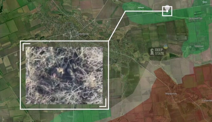 Прокуратура открыла производство по факту расстрела бойцов ВСУ на Гуляйпольском направлении