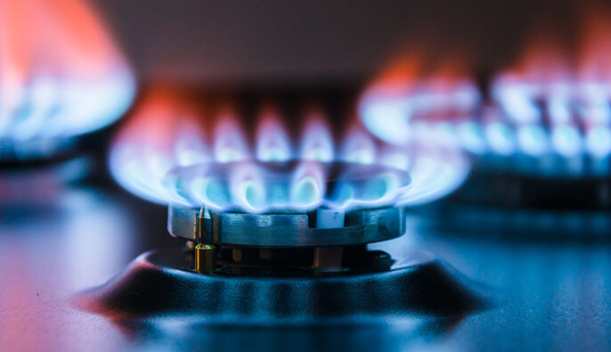 Die Zeit: В Германии могут возобновить импорт газа из РФ по окончании войны