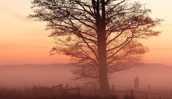 19 ноября – какой сегодня церковный праздник, история, традиции и приметы