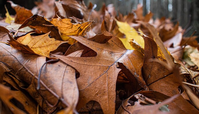 Холодно и порывистый ветер: какую погоду ждать в четверг