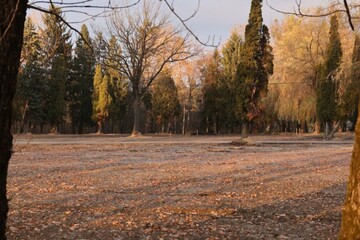 Во Львове объявили новое место для погребения защитников