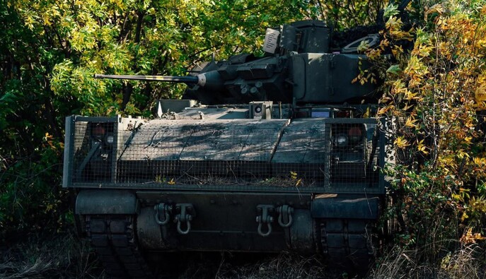 The Telegraph: План Трампа предусматривает контроль РФ над Донбассом и сокращение армии Украины вдвое