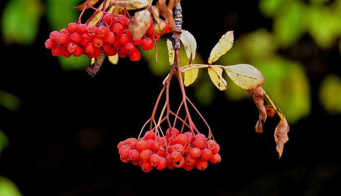 В Україну йде потепління до +20: прогноз погоди на п'ятницю 
