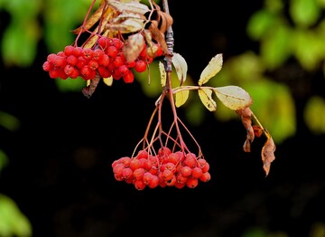 В Україну йде потепління до +20: прогноз погоди на п'ятницю 