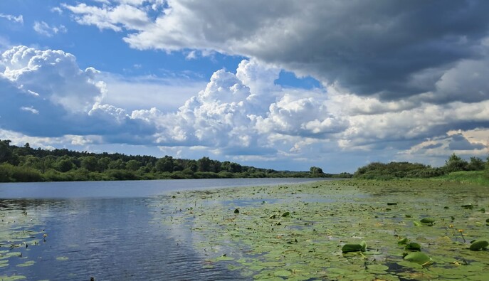 Громадські організації просять Верховну Раду відновити самостійну роботу Міндовкілля