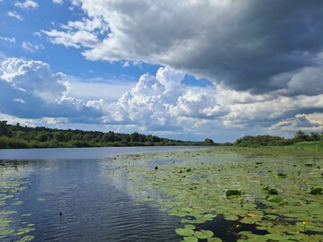 Громадські організації просять Верховну Раду відновити самостійну роботу Міндовкілля