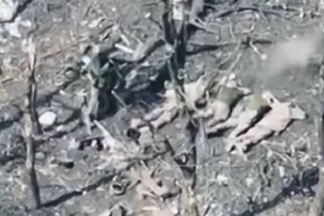 В Донецкой области россияне расстреляли пятерых украинских бойцов