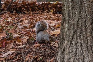 Аномальное тепло и небольшие "минусы": какой будет последняя неделя осени