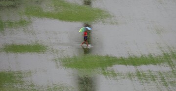 Стихия в Малайзии: более 11 тысяч граждан пострадали от наводнений