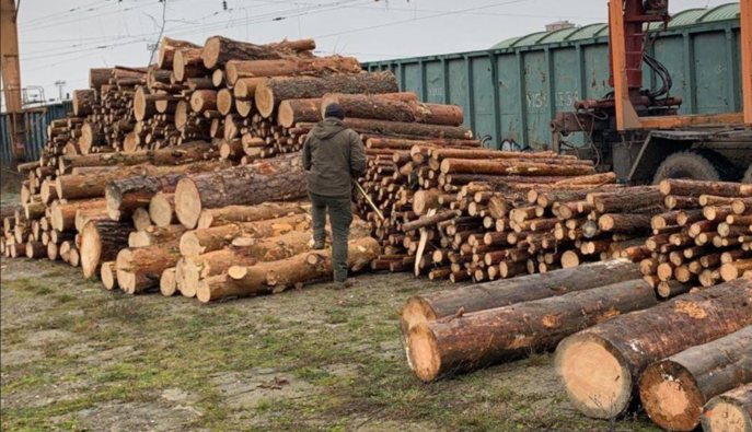 БЭБ расследует схему незаконного экспорта древесины из Киевской области в Румынию 