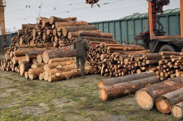 БЕБ розслідує схему незаконного експорту деревини з Київщини в Румунію