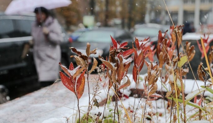 26 ноября - все об этом дне: праздники, события, традиции