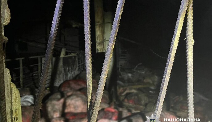 Из-за удара РФ по ферме на Черниговщине погибли около 1000 свиней