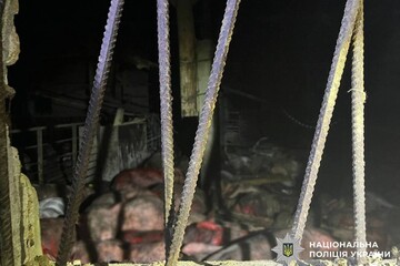 Через удар РФ по фермі на Чернігівщині загинули близько 1000 свиней