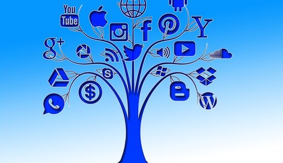 Национальная ассоциация лоббистов Украины поддерживает инициативу Европарламента относительно минимального возраста доступа к соцсетям