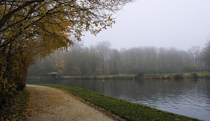 Погода будет определять антициклон: какими будут последние дни осени