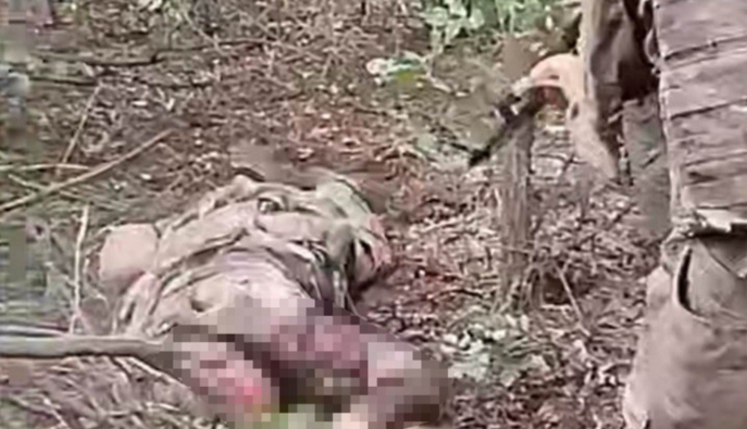 В Покровском районе российские военные убили пленного бойца ВСУ: начато расследование