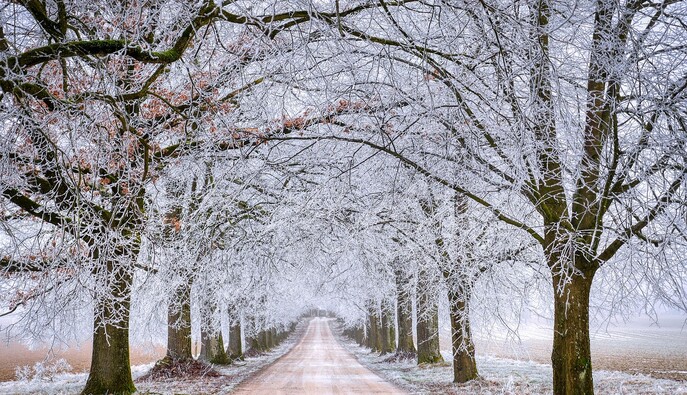Лютые морозы или аномальное тепло: в Укргидрометцентре дали прогноз на зиму 2025-2026