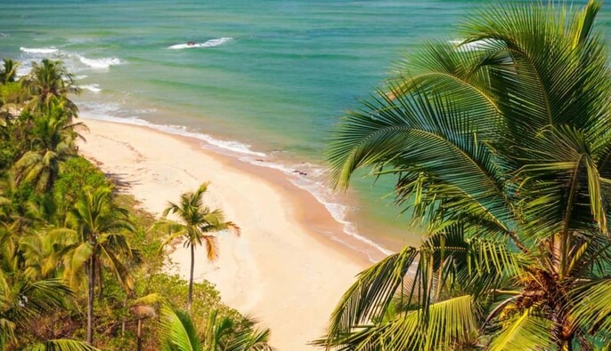 В индийском Гоа в ночном клубе пожар унес жизни 25 человек