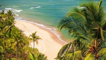 В індійському Гоа у нічному клубі пожежа забрала життя 25 людей