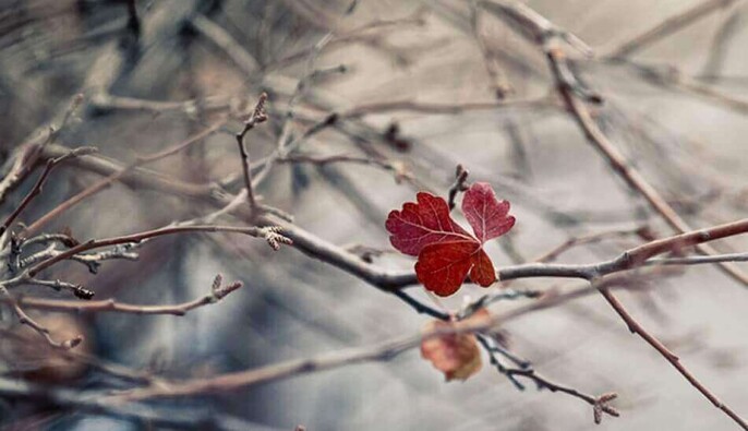 Зима вже на порозі: синоптики дали прогноз погоди на тиждень