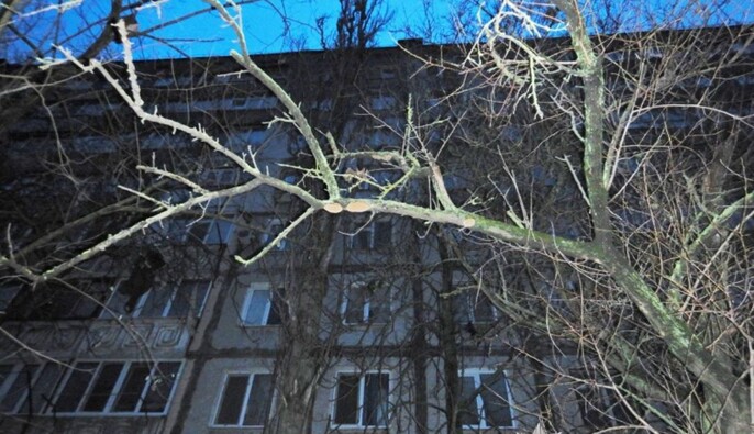 19-річна жителька Миколаєва випала з вікна багатоповерхівки, її могли утримувати силою — поліція