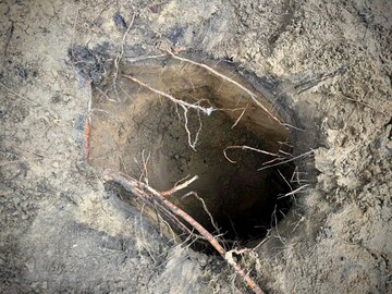 В Польше в четвертый раз за год обнаружили тоннель под границей с Беларусью