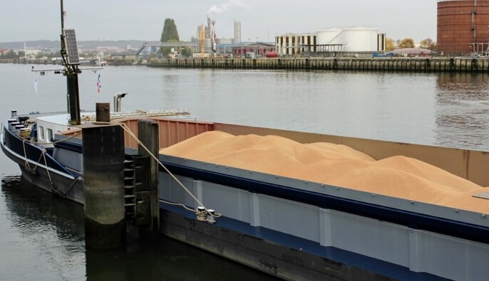 Контрабандное зерно из Крыма: новая страна снабжает его Россией — Bellingcat