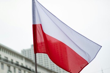 У Польщі недалеко від кордону з Білоруссю знайшли залишки невідомого дрона