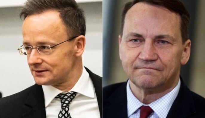 Сикорский и Сиярто публично поспорили из-за поста Орбана об активах РФ