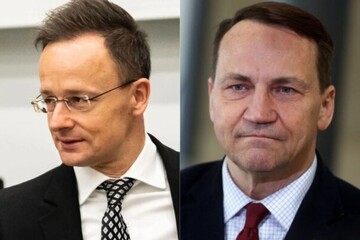 Сікорський та Сіярто публічно посперечалися через пост Орбана про активи РФ