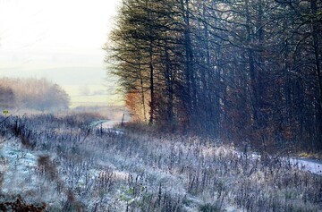 16 декабря – какой сегодня церковный праздник, история, традиции и приметы