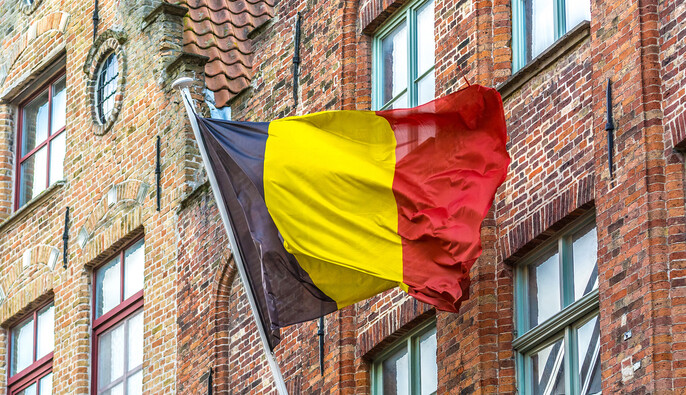 Бельгия отклоняет предложение ЕС по разблокированию российских активов, – Politico