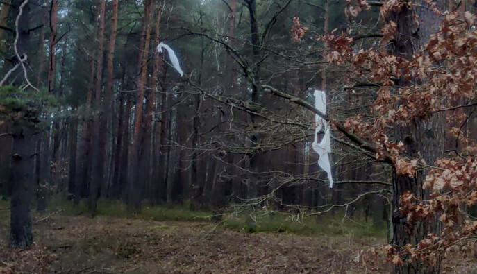 На Волині прикордонники знайшли повітряну кулю з білоруськими цигарками