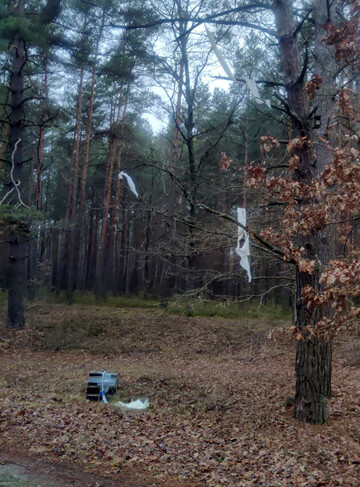 На Волыни пограничники нашли воздушный шар с белорусскими сигаретами