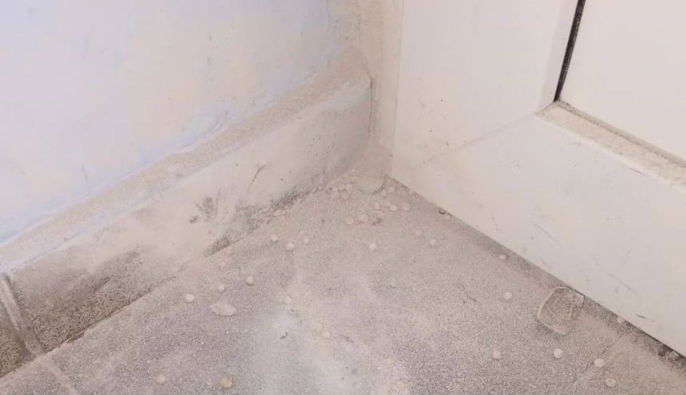  В одній зі шкіл Києва вибухнула страйкбольна граната — поліція