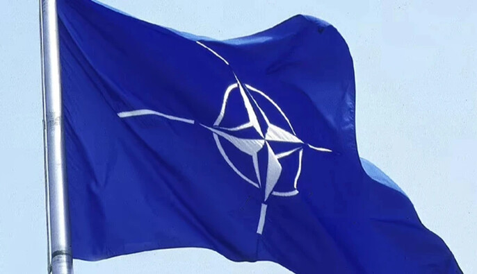 The Telegraph: НАТО не реагирует на деятельность 