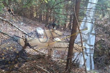 В лесу в Румынии обнаружили неизвестный дрон с прикрепленным парашютом