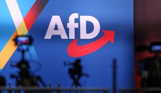 Politico: В Германии ультраправую партию AfD обвинили в сборе информации для Кремля