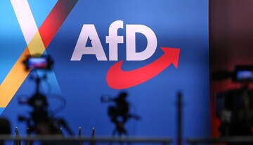 Politico: В Германии ультраправую партию AfD обвинили в сборе информации для Кремля