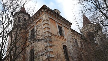 Дворец на Прикарпатье, который некоторое время был свинарником, удалось вернуть в собственность общины