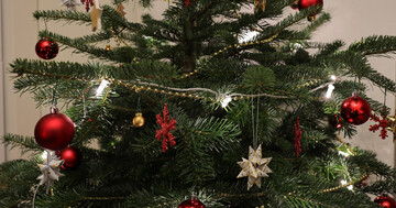 Довго стоятиме та не осипатиметься: чим полити ялинку, аби продовжити їй життя