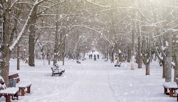 Морозы утихнут и придут снегопады: прогноз синоптиков до конца недели 